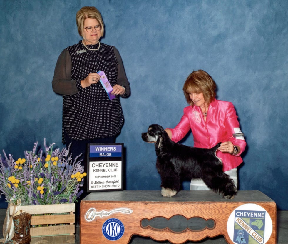 Cocker wins at dog show