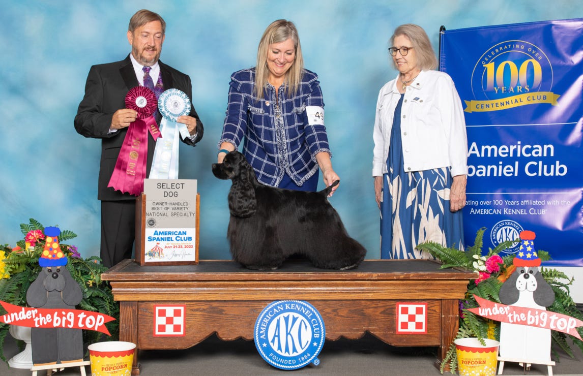 Cocker wins Select at ASC dog show