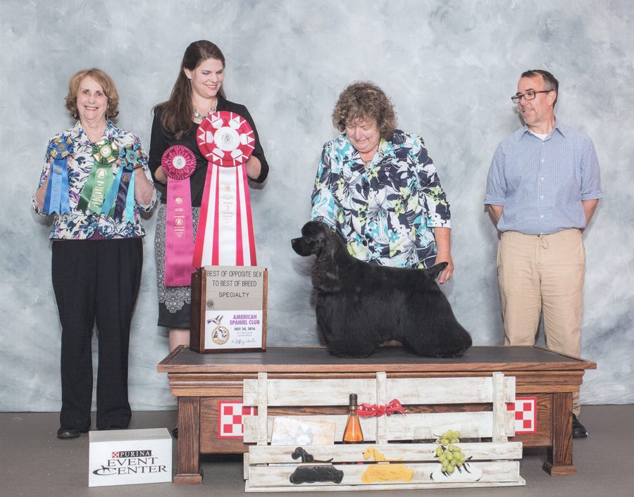 Cocker wins at Regional Specialty dog show